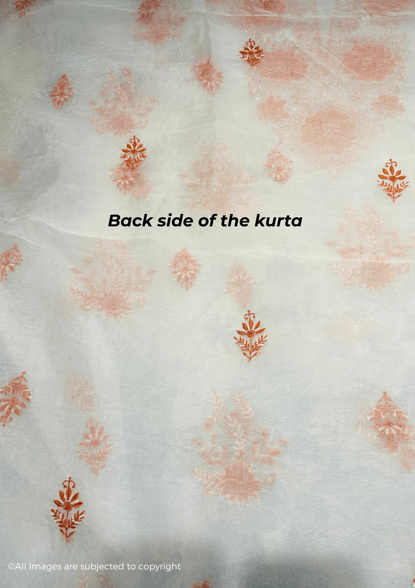 Handcrafted Chikankari Organza Silk Pearl & Cutdana Suit Set